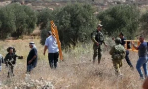 الاحتلال يطلق الرصاص تجاه قاطفي الزيتون في كوبر شمال رام الله الاحتلال يطلق الرصاص تجاه قاطفي الزيتون في كوبر شمال رام الله